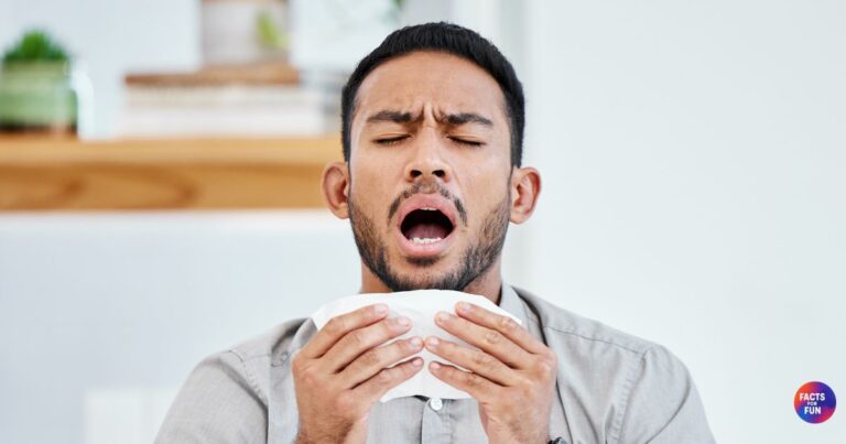 Sneezing Facts