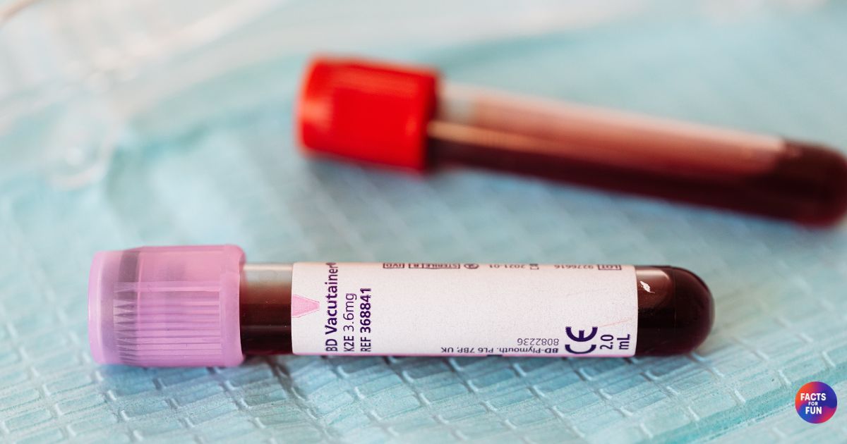 Facts about human blood