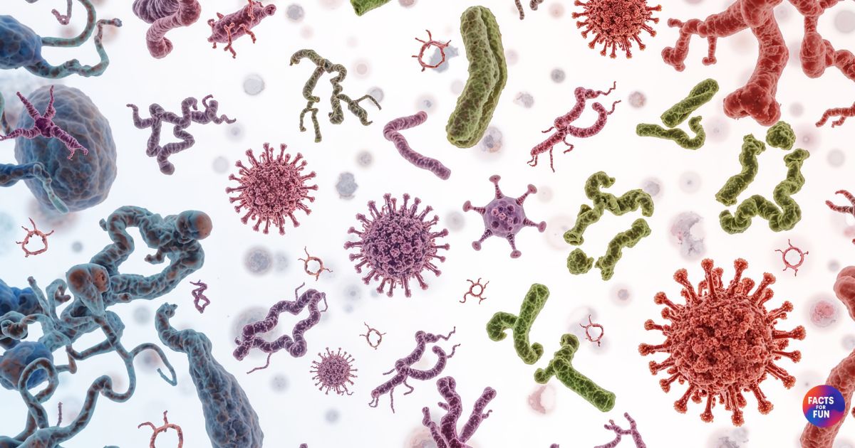 Human Microbiome