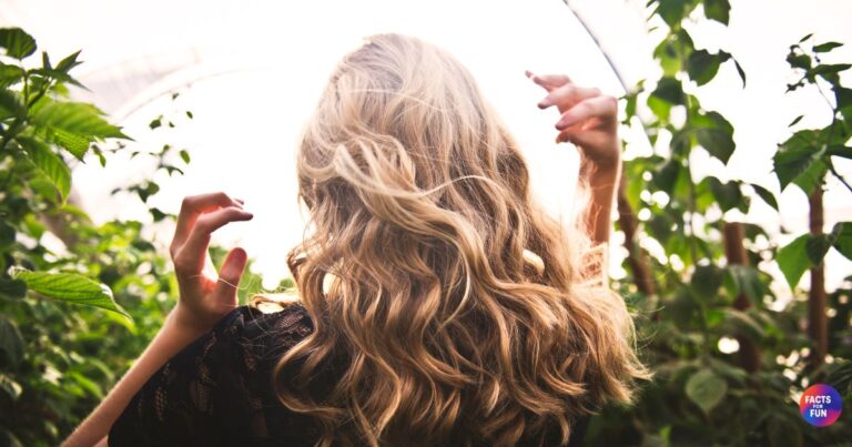 Human hairs