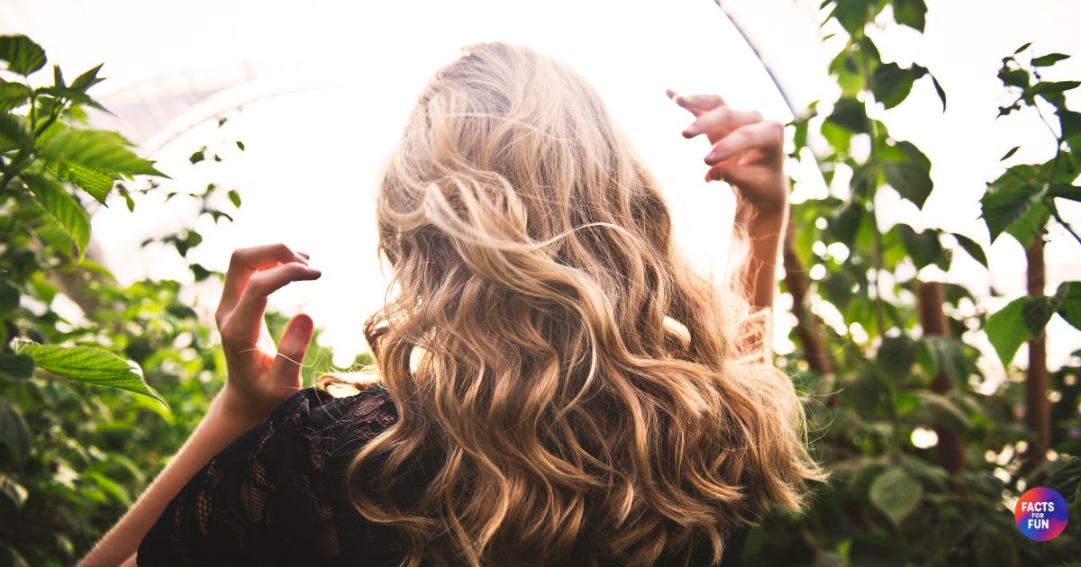 Human hairs
